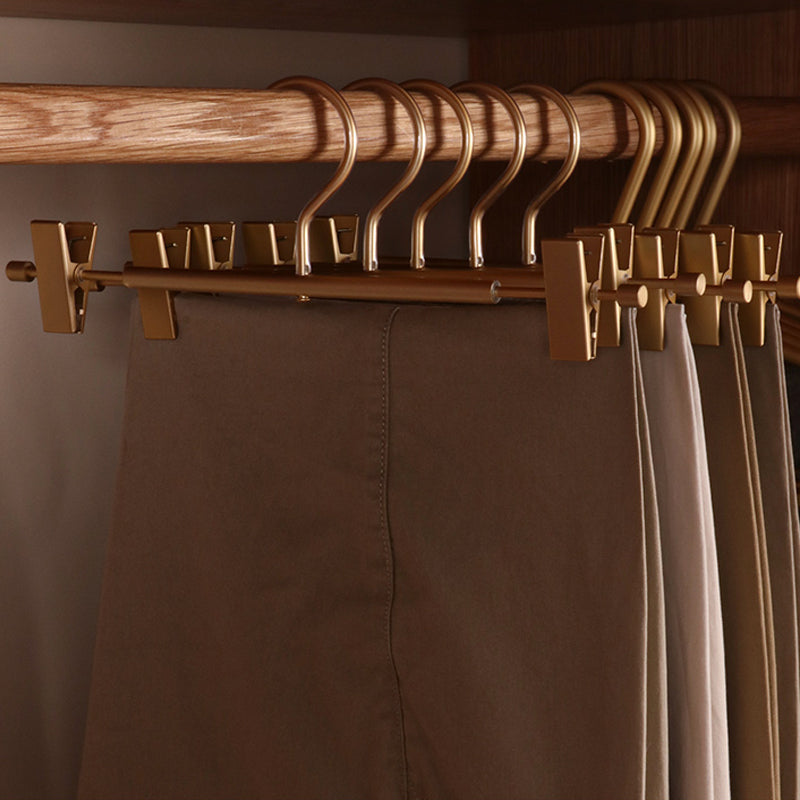 Light Lux Hanger Rack with Clips