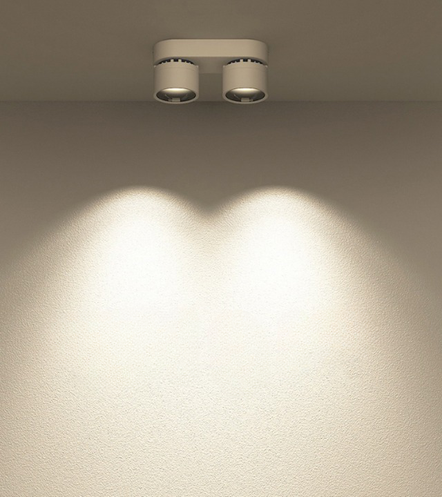 Double-Head Adjustable Spot Ceiling Downlight