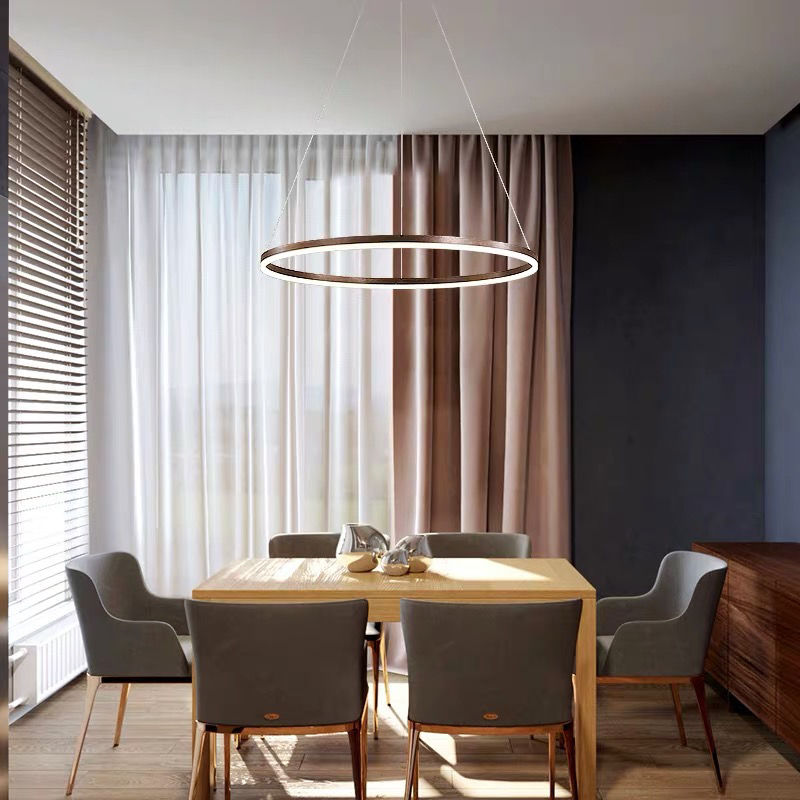 Classic Ring Ceiling Light
