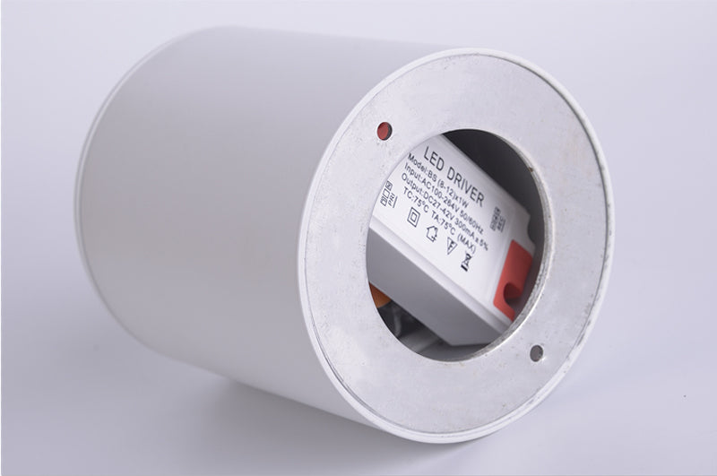 Classic Mounted Spot Downlight