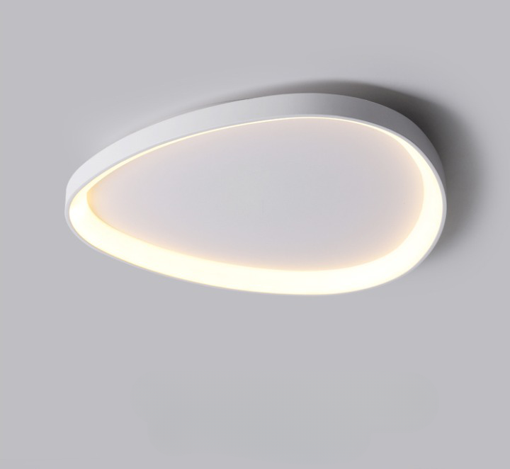 Irregular 8 Shape Ceiling Light