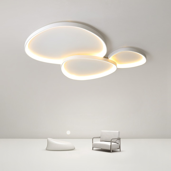 Irregular 8 Shape Ceiling Light