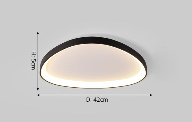 Irregular 8 Shape Ceiling Light