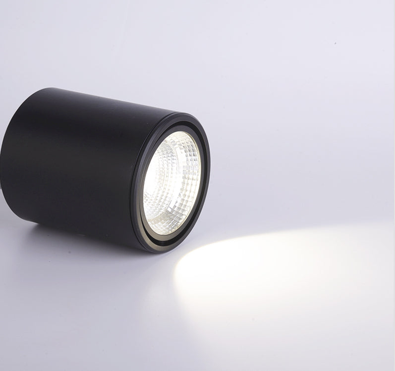 Classic Mounted Spot Downlight