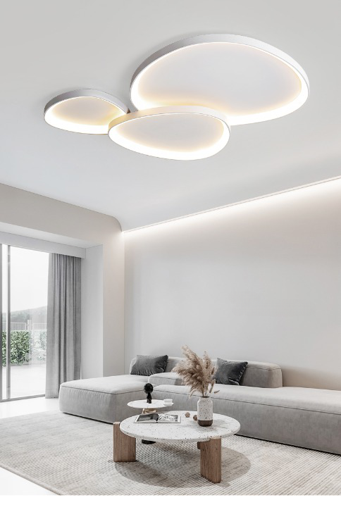 Irregular 8 Shape Ceiling Light