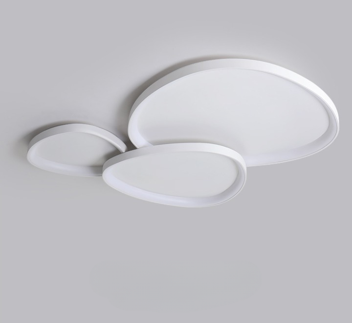 Irregular 8 Shape Ceiling Light