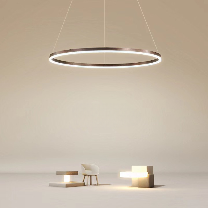 Classic Ring Ceiling Light