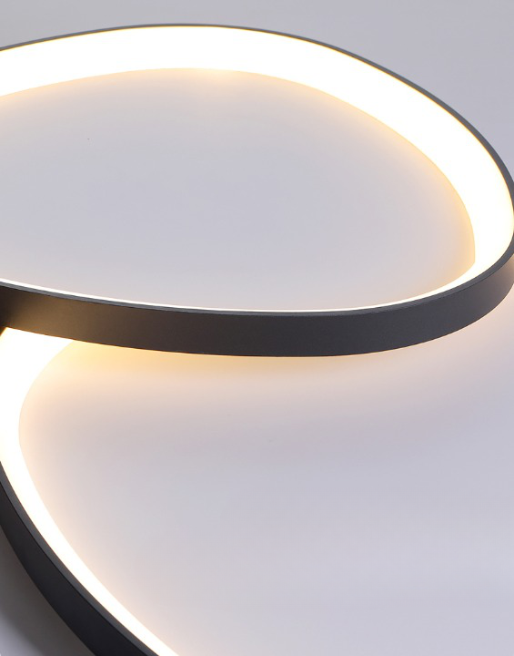 Irregular 8 Shape Ceiling Light