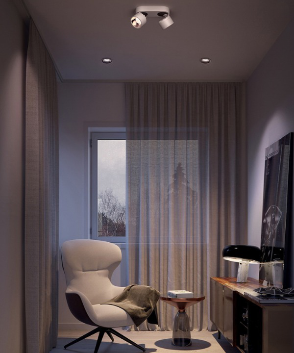 Double-Head Adjustable Spot Ceiling Downlight