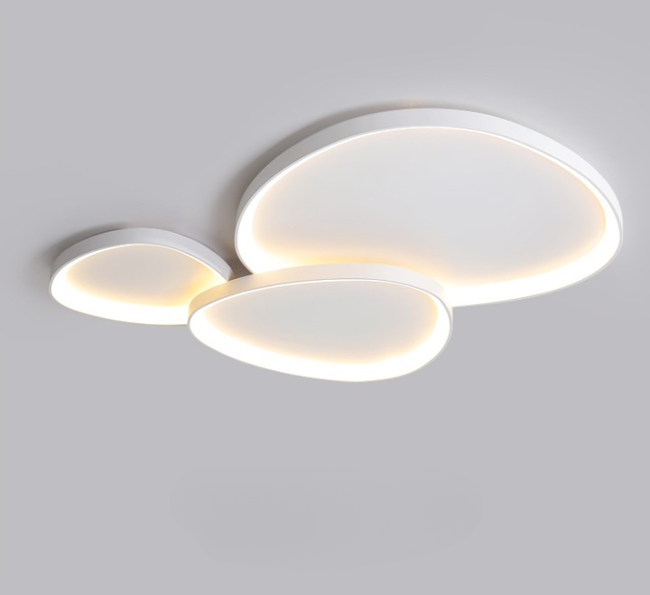 Irregular 8 Shape Ceiling Light
