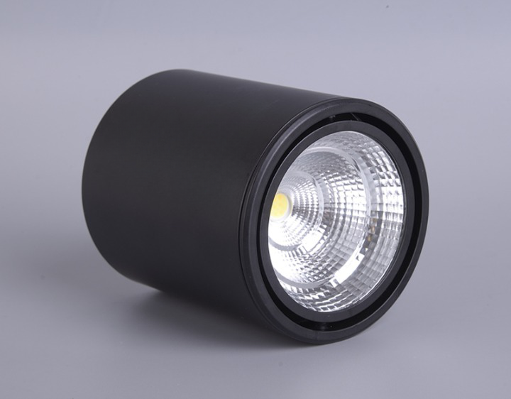 Classic Mounted Spot Downlight