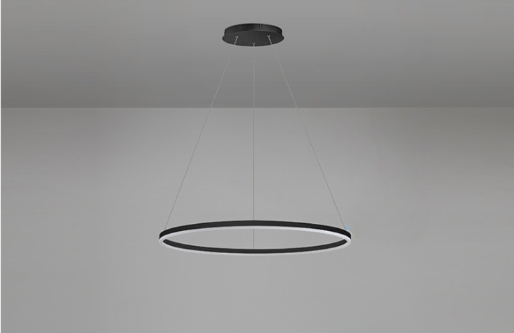 Classic Ring Ceiling Light