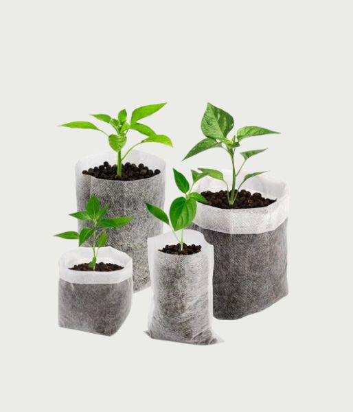Biodegradable Seedling Bags
