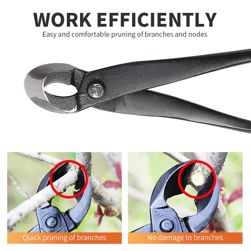 Bonsai Pruning Tools