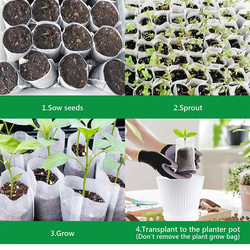Biodegradable Seedling Bags