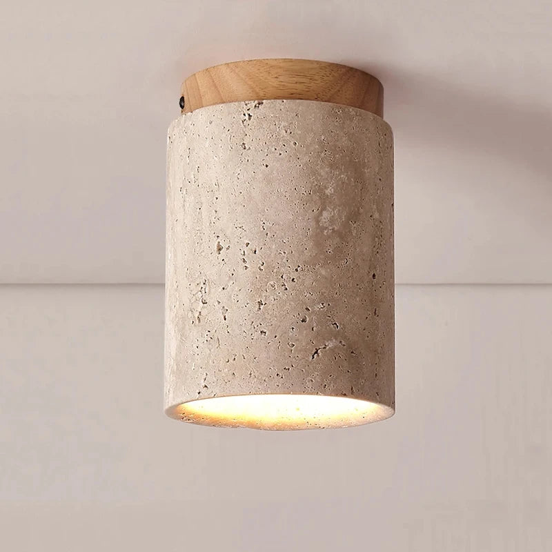 Organic Style Surface Mounted Downlight