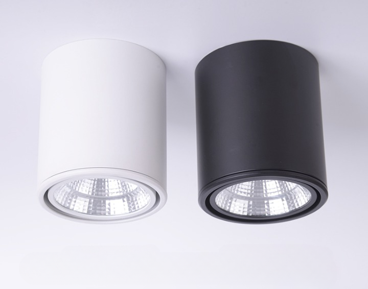 Classic Mounted Spot Downlight
