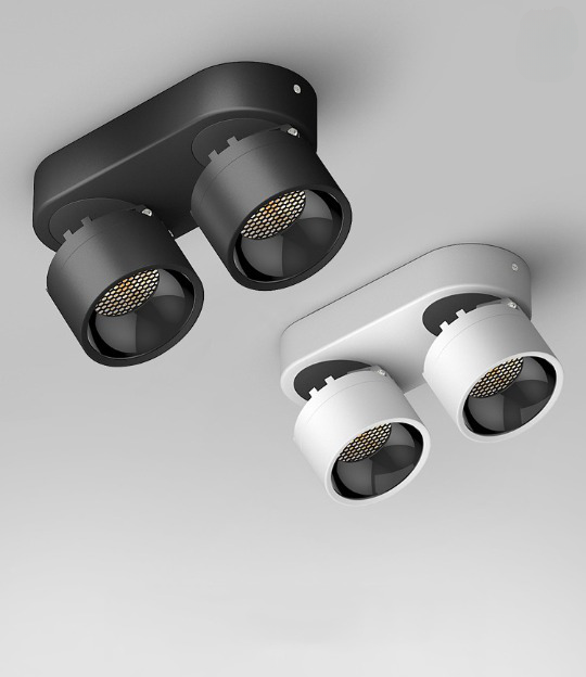 Double-Head Adjustable Spot Ceiling Downlight