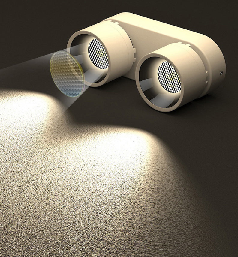 Double-Head Adjustable Spot Ceiling Downlight