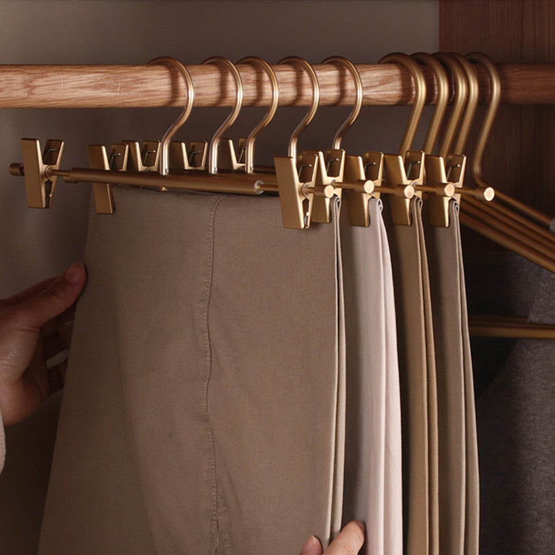 Light Lux Hanger Rack with Clips