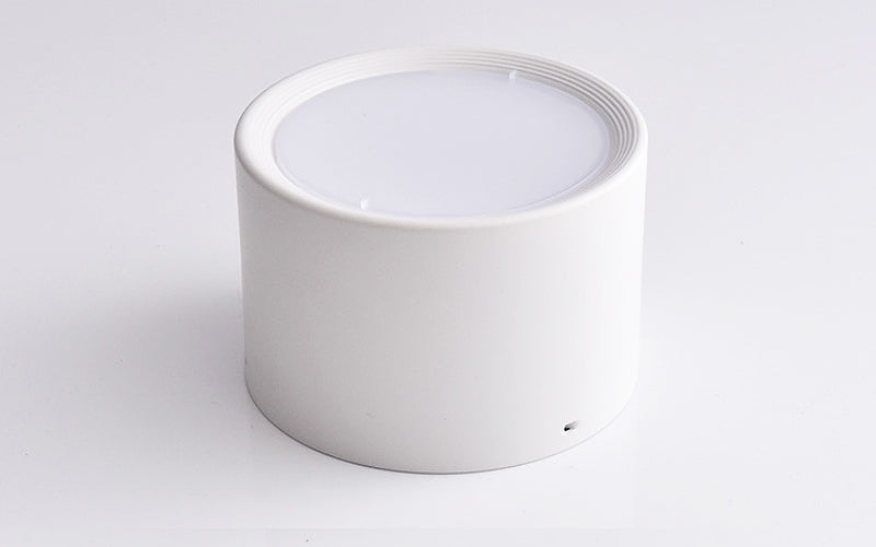 Classic Surface Mounted Ceiling Spot Downlight