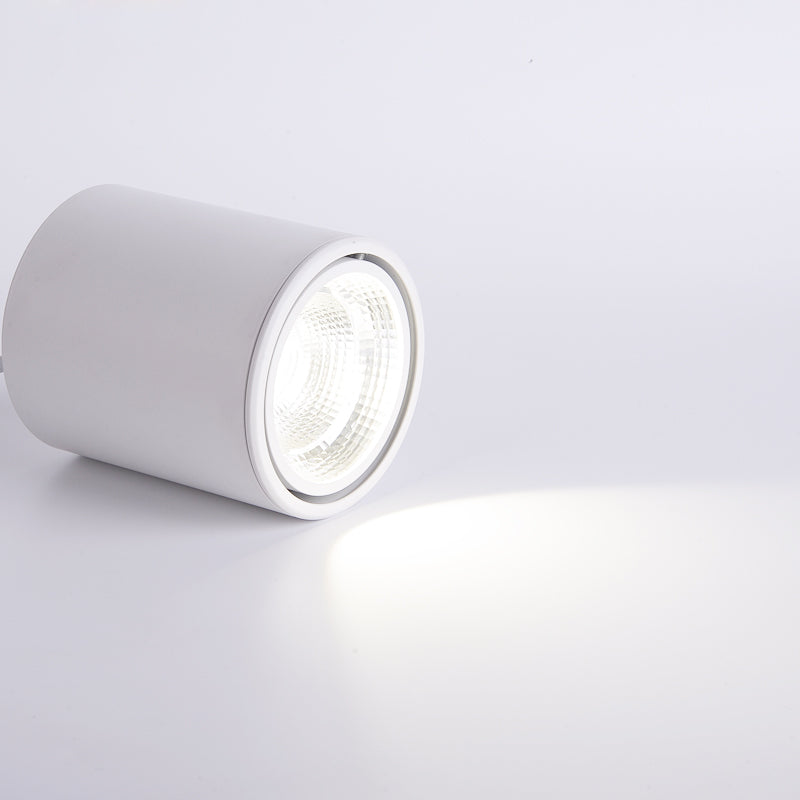 Classic Mounted Spot Downlight