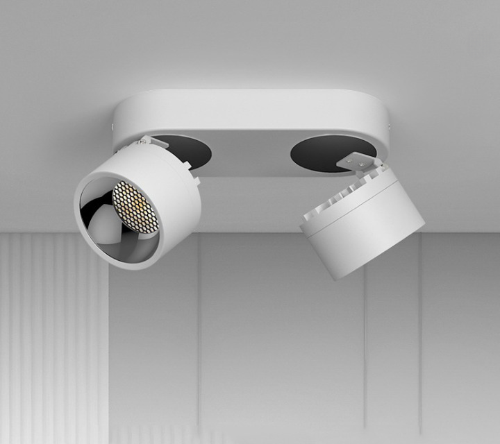 Double-Head Adjustable Spot Ceiling Downlight