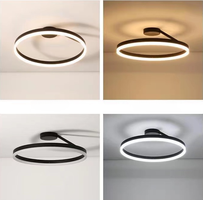 Modern Ring Ceiling Light