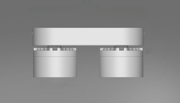 Double-Head Adjustable Spot Ceiling Downlight