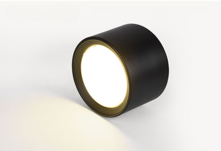 Classic Surface Mounted Ceiling Spot Downlight