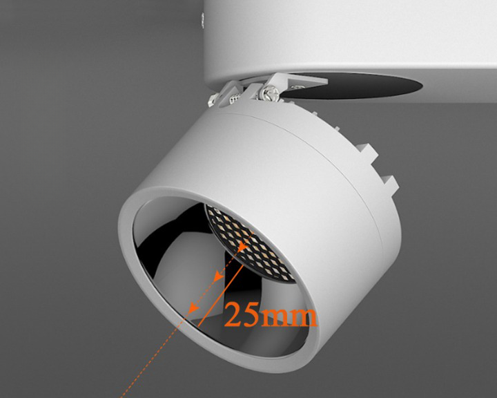Double-Head Adjustable Spot Ceiling Downlight