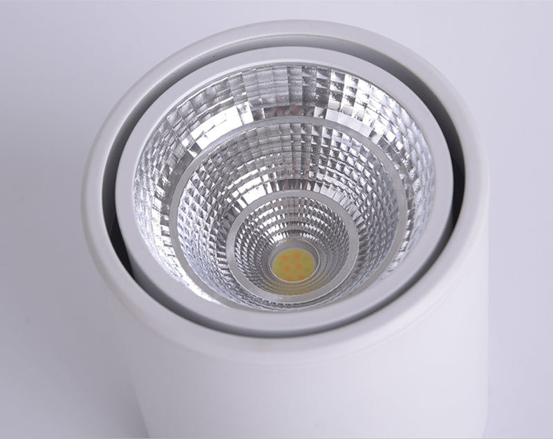 Classic Mounted Spot Downlight