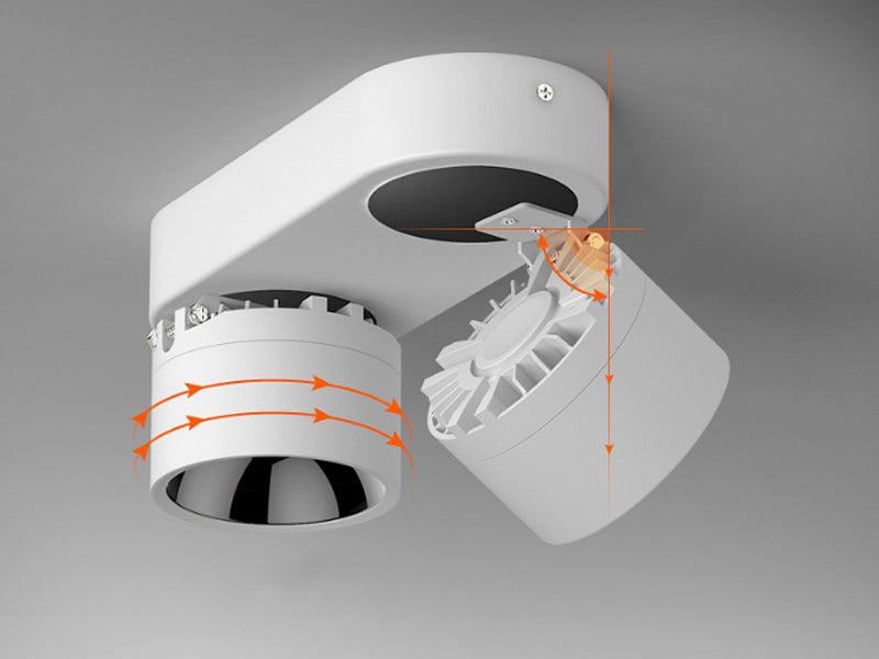 Double-Head Adjustable Spot Ceiling Downlight
