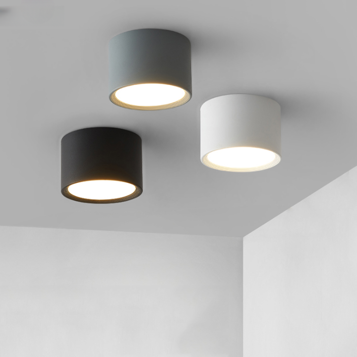 Classic Surface Mounted Ceiling Spot Downlight