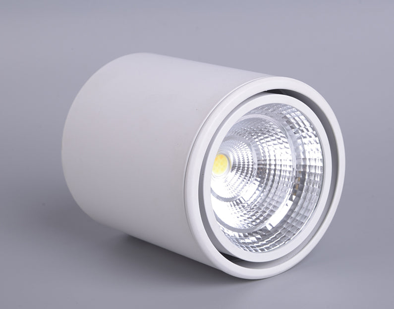 Classic Mounted Spot Downlight