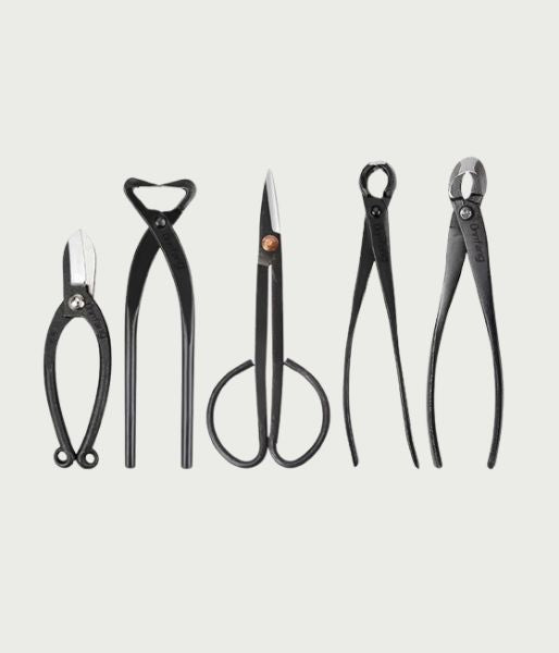 Bonsai Pruning Tools