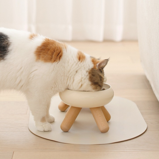 Artistic Form Ceramic Bowls with Wooden Stands