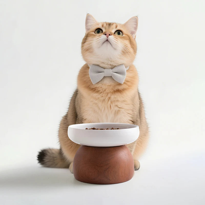 Ceramic Bowl with Detachable Solid Wood Stand