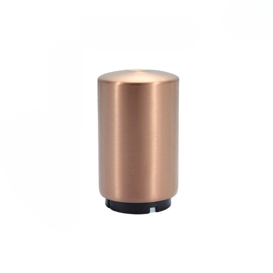 Automatic Metal Magnetic Bottle Opener (Push Down)