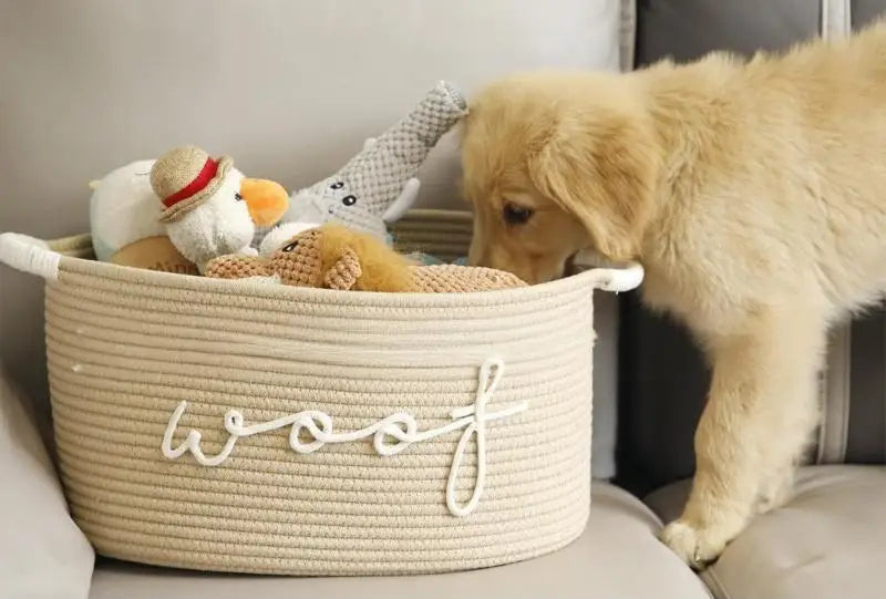 Rope Dog Toy Storage Basket