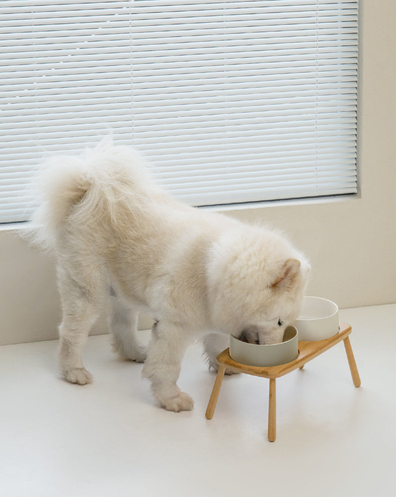 Ceramic Bowls with Oval Wooden Stands