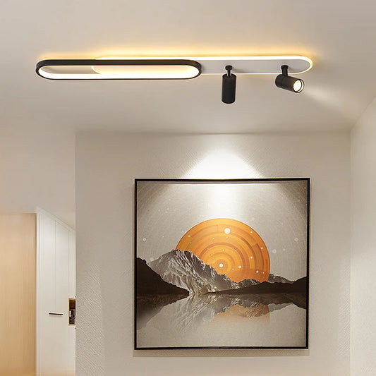 Ceiling Lamp with Spotlight