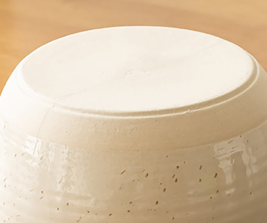 Ceramic Bowl with Built-in Sauce Dip