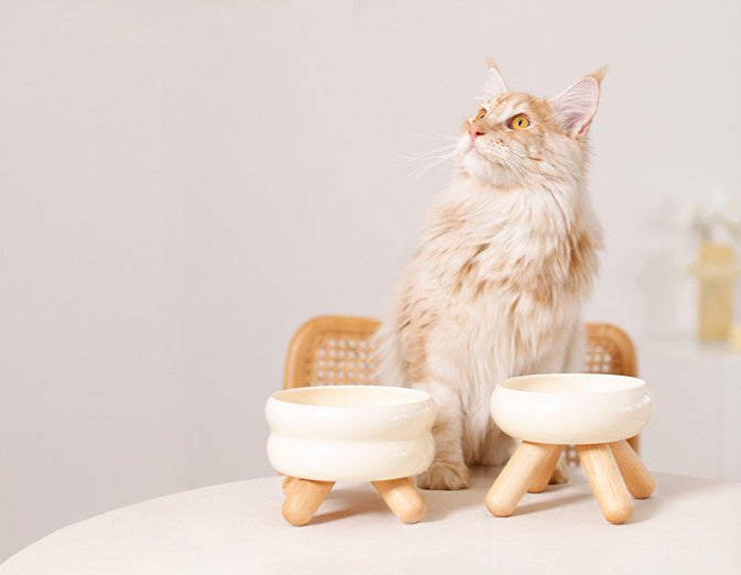 Artistic Form Ceramic Bowls with Wooden Stands