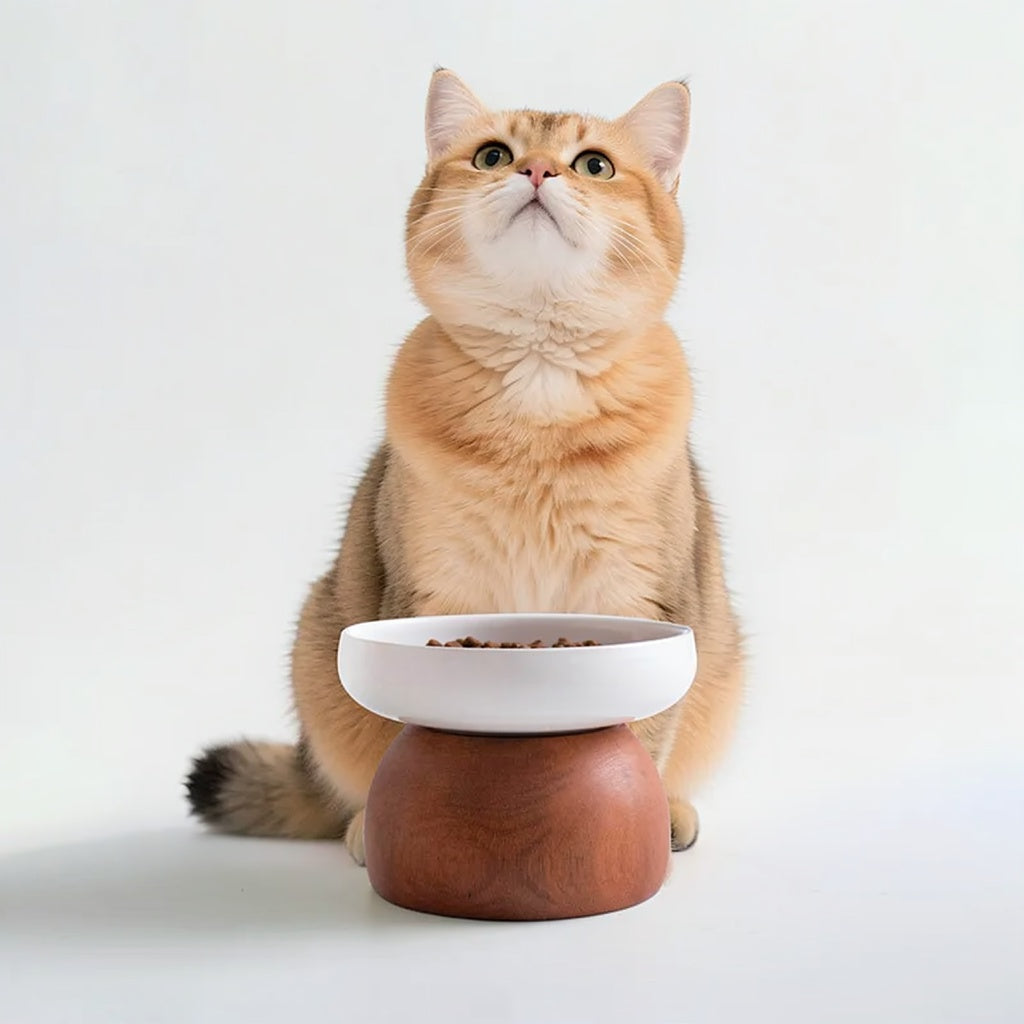 Ceramic Bowl with Detachable Solid Wood Stand